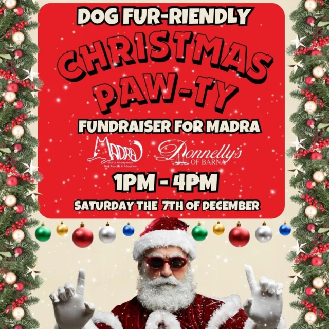 🎉🐕It's that time of year again! Saturday 7th December from 1pm till 4pm our Annual Christmas Paw-Ty! 
Snap the paw-fect family paw-trait & enter our raffle for the ulti-mutt festive hamper!🎄🎅@madradogrescue @galwaywoofpack
